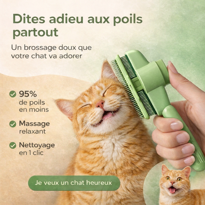 La brosse Féline
